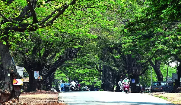 About Kanakapura Road