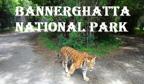 Bannerghatta National Park